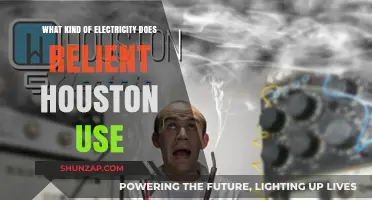 Relient Houston's Power Source: Uncovering the Electricity Type They Utilize