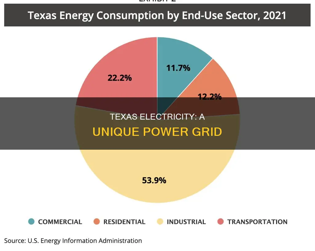what kind of electricity does texas have
