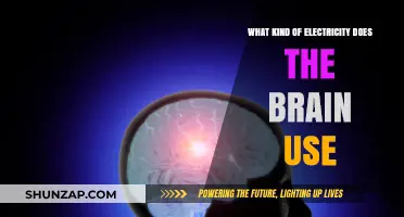 Unveiling the Brain's Power Source: Understanding Its Unique Electrical Energy