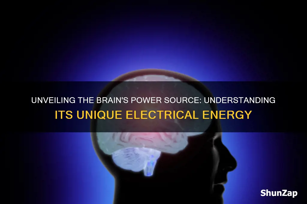 what kind of electricity does the brain use