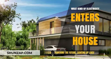 Electricity in Your Home: What Type Powers Your House?