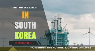 South Korea's Electrical Power: A Unique System