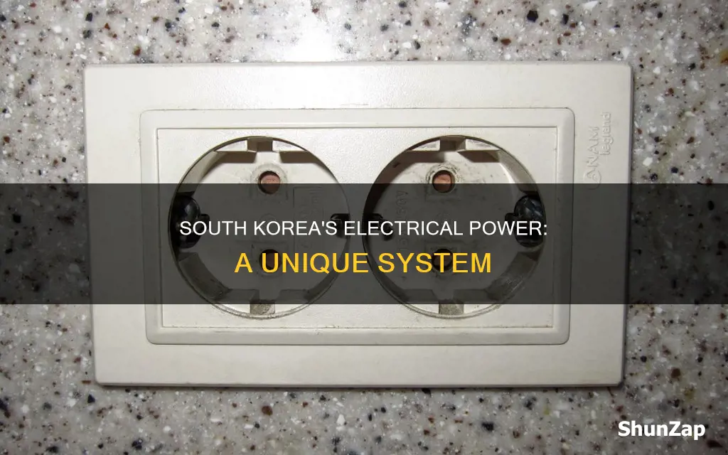 what kind of electricity in south korea