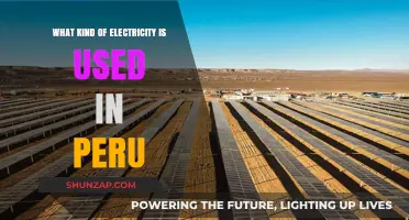 Peru's Power Sources: Exploring the Types of Electricity Used Nationwide