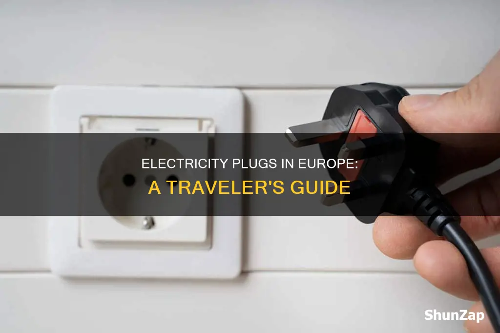 what kind of electricity plug in europe