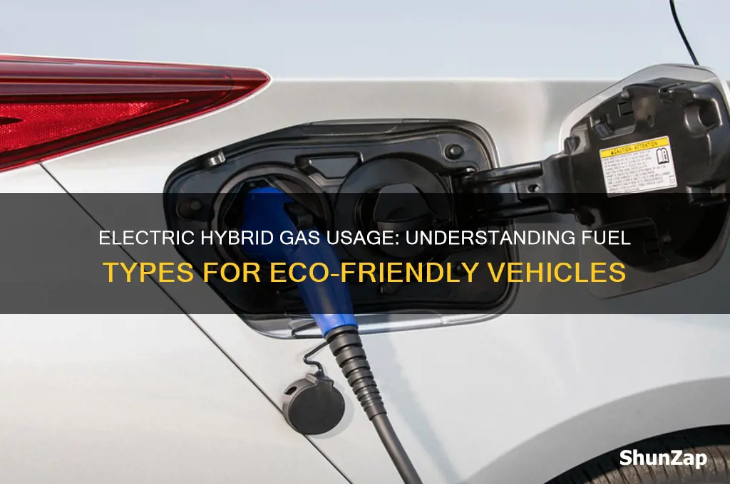 what kind of gas does electric hybrid use