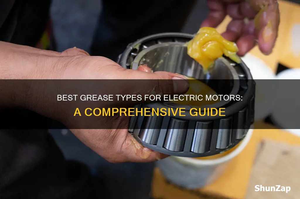 what kind of grease do you use on electric motors