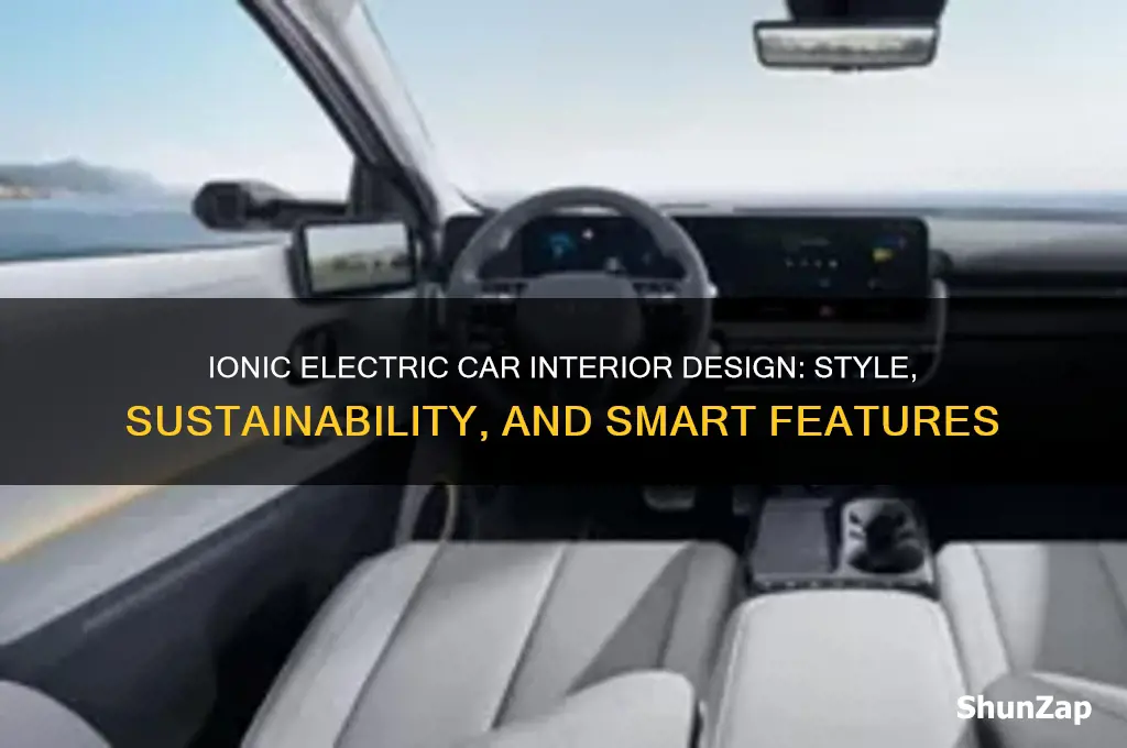 what kind of interior design ionic electric car