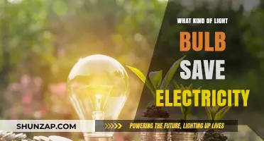 Energy-Saving Light Bulbs: Bright Ideas for Your Home