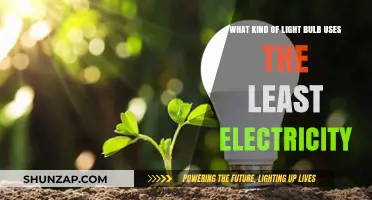 Energy-Efficient Lighting: Discover the Lowest Electricity-Consuming Bulb Type