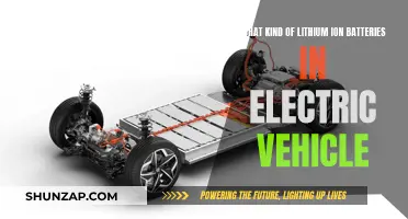 Unveiling the Power: Exploring Lithium-Ion Battery Types in Electric Vehicles