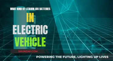 Lithium-ion Batteries: Powering the Electric Vehicle Revolution
