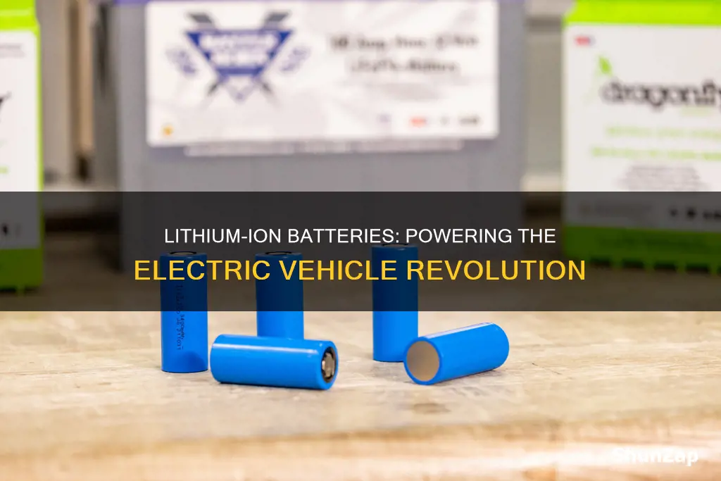 what kind of lithium ion batteries in electric vehicle