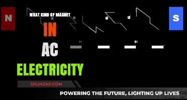 Magnets in AC Electricity: What's the Deal?
