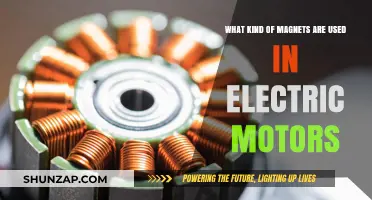 Exploring Types of Magnets Powering Electric Motors: A Comprehensive Guide