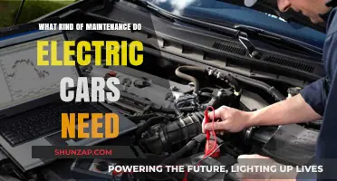 Essential Electric Car Maintenance: What Every EV Owner Should Know