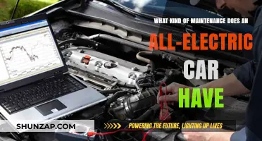 Essential Maintenance Tips for Your All-Electric Vehicle Ownership Journey