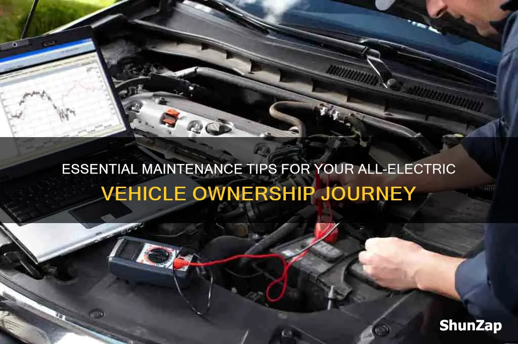 what kind of maintenance does an all-electric car have