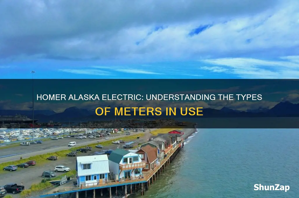what kind of meters do homer alaska electric use