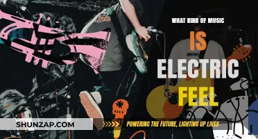 Electric Feel: Exploring Genre Fusion in Music