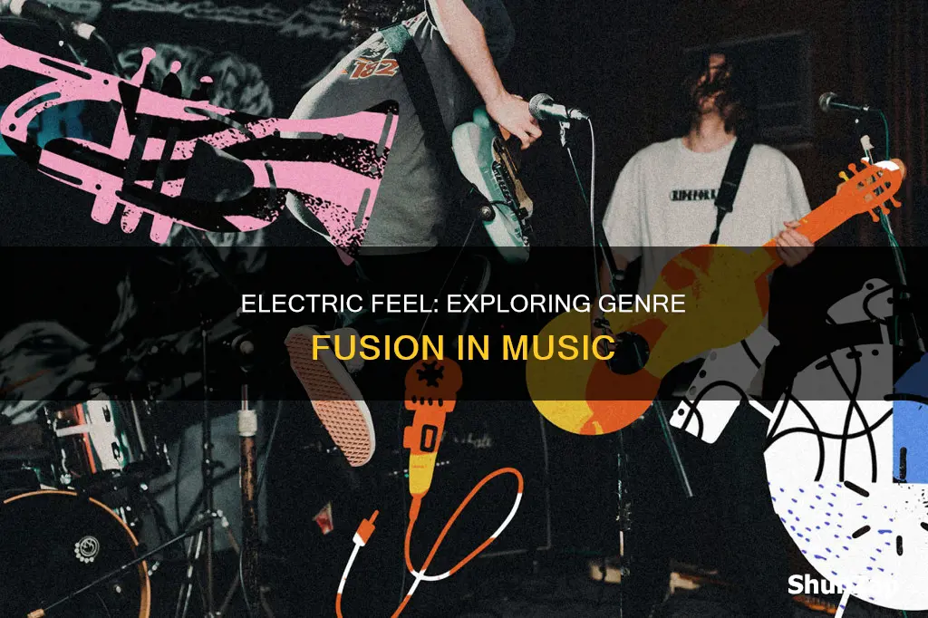 what kind of music is electric feel