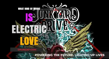 The Evolution of Electric Love Music