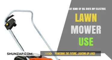 Electric Lawn Mower Oil Guide: What Type to Use