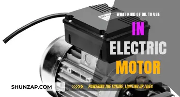 Choosing the Right Oil for Electric Motor Efficiency and Longevity