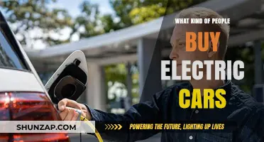 Who's Driving Electric? Unveiling the Demographics Behind EV Ownership