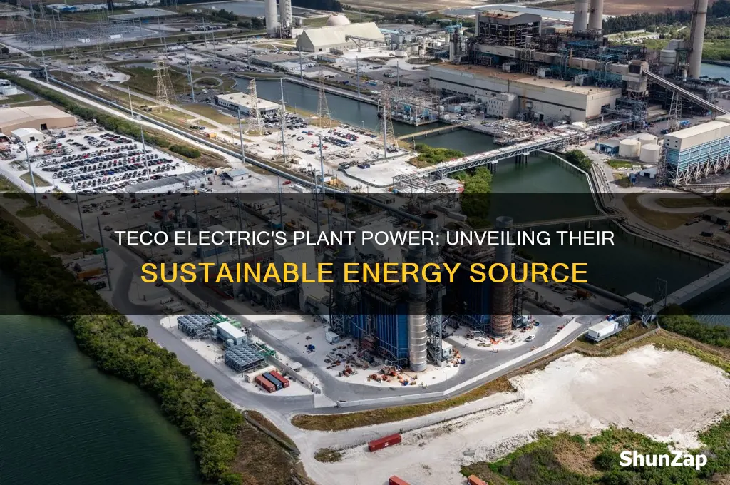 what kind of plant does teco electric use