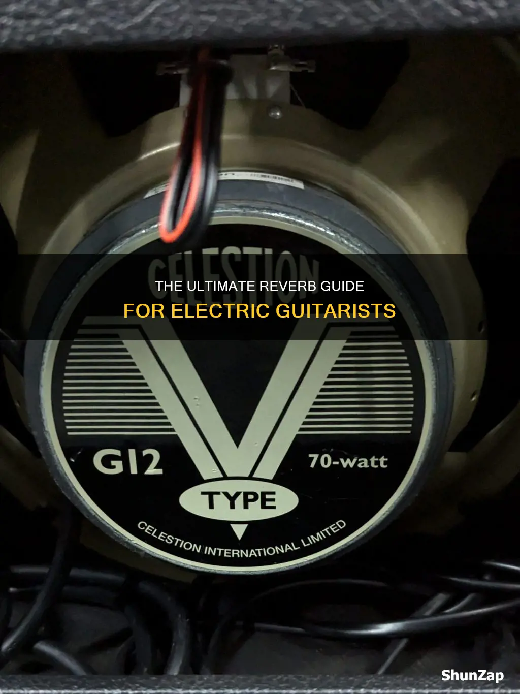 what kind of reverb for electric guotar