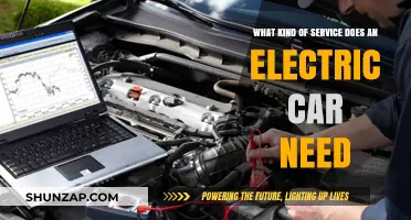 Essential Electric Car Maintenance: Services Your EV Requires for Optimal Performance