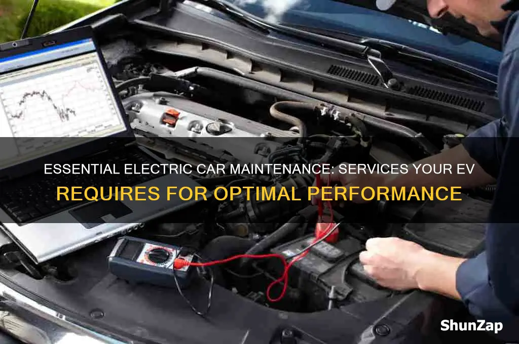 what kind of service does an electric car need