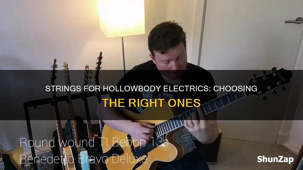 what kind of strings on hollowbody electric