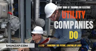 Powering the Grid: Electric Utility Training Essentials