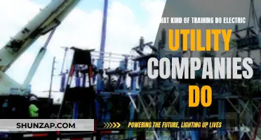 Electric Utility Companies: Training for a Safer Future