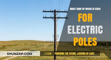 Types of Wood Used for Electric Poles: A Comprehensive Guide