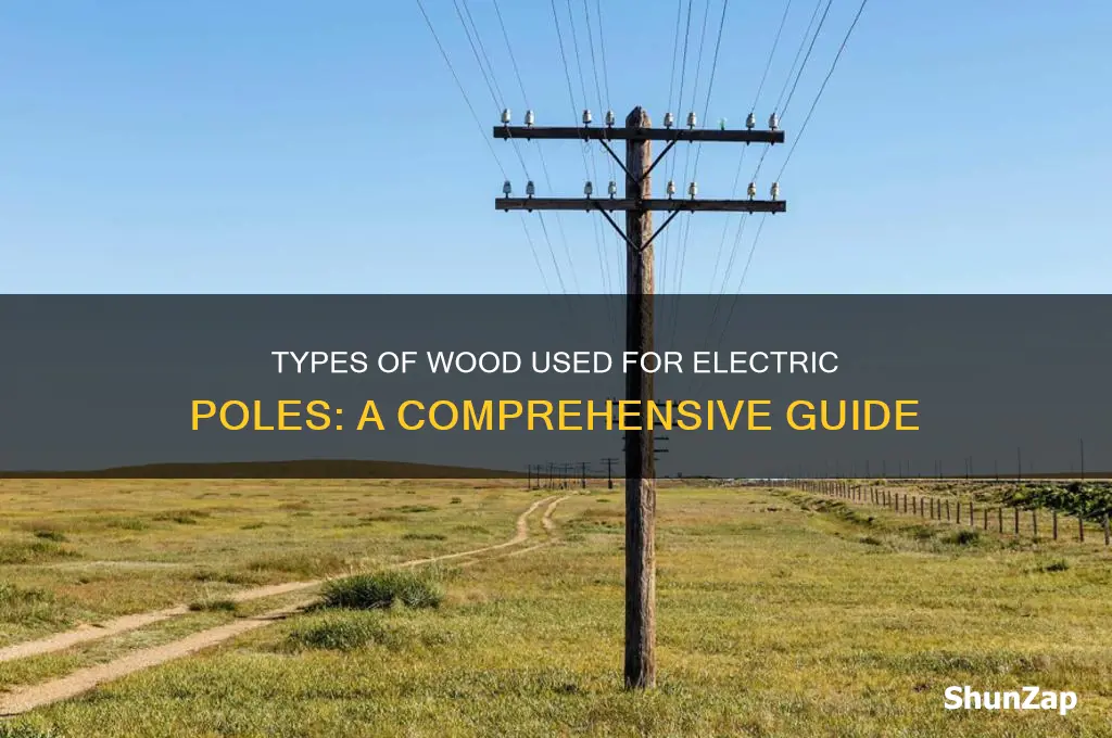 what kind of wood is used for electric poles