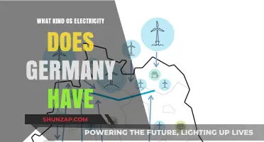 Germany's Electricity: A Unique Energy Mix
