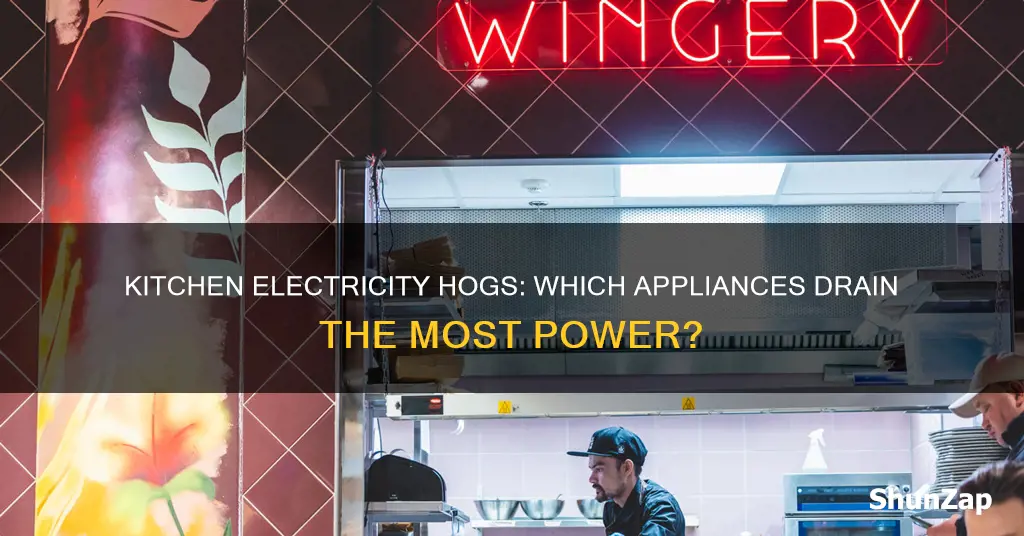 what kitchen appliances take the most electricity