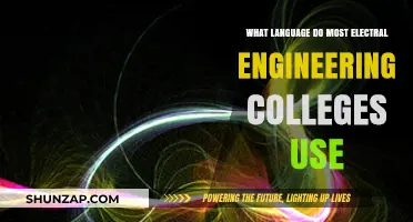 Top Programming Languages Taught in Electrical Engineering Colleges Worldwide