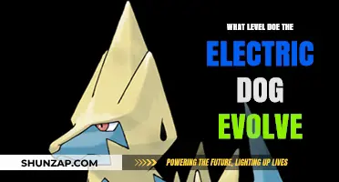 Electric Dog Evolution: Leveling Up Your Pup