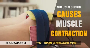 Understanding the Electrical Current for Muscle Contraction