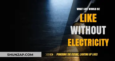 A World Without Electricity: Life's Dark Ages