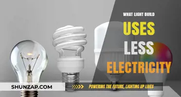 Energy-Efficient Lighting: Which Light Build Consumes Less Electricity?