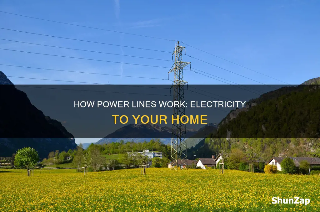 what lines deliver electricity to your home