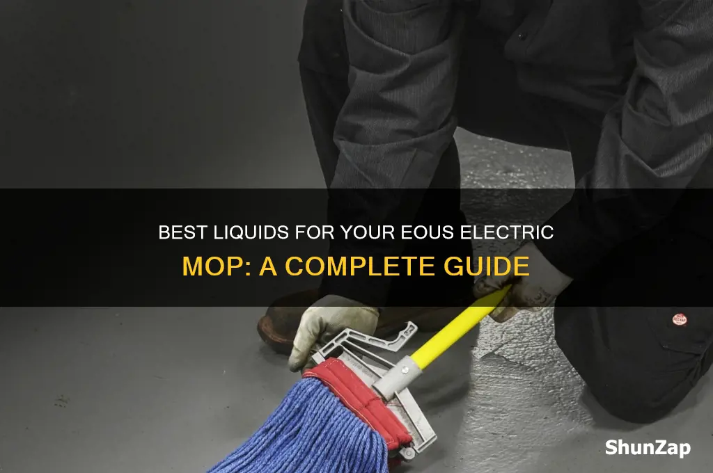 what liquids do i use with my eous electric mop