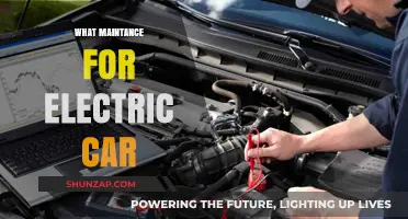 Essential Electric Car Maintenance Tips for Longevity and Performance