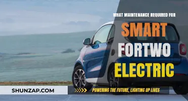Smart Fortwo Electric: Maintenance Must-Knows