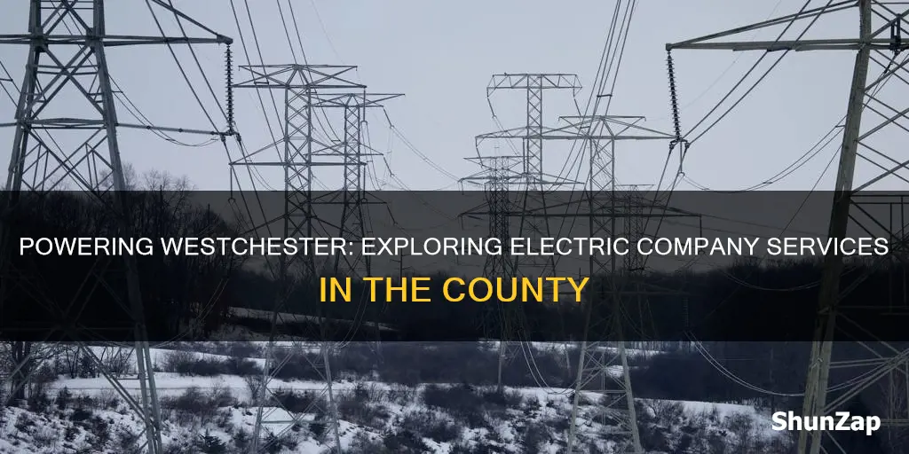 what major electric company services westchester county ny